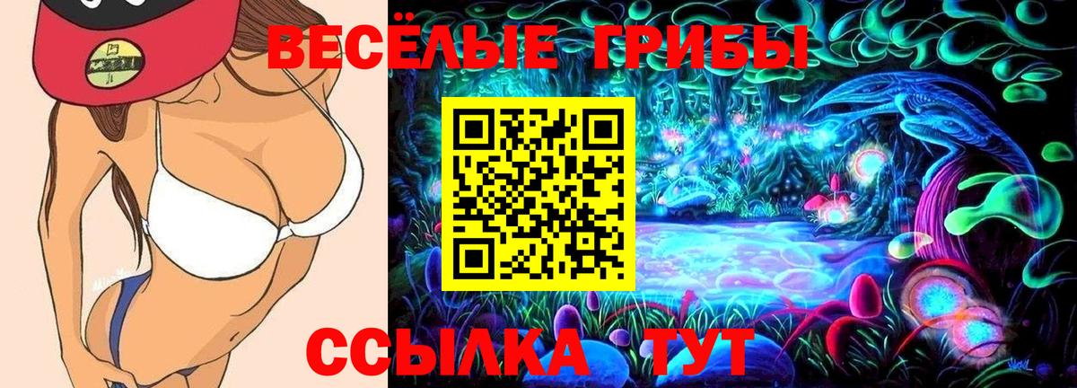 Торжок  Галлюциногенные грибы Psilocybe  Вход с VPN 