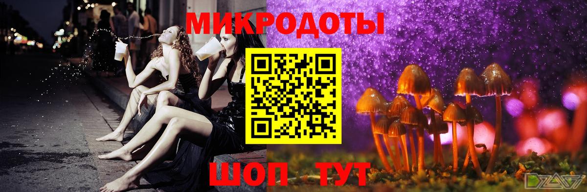 Псилоцибиновые грибы Cubensis Торжок